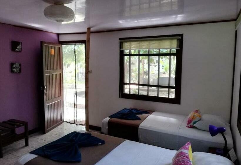 اتاق عادی, Aracari Garden Hostel