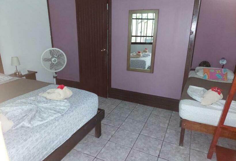 اتاق ساده سه نفره, Aracari Garden Hostel