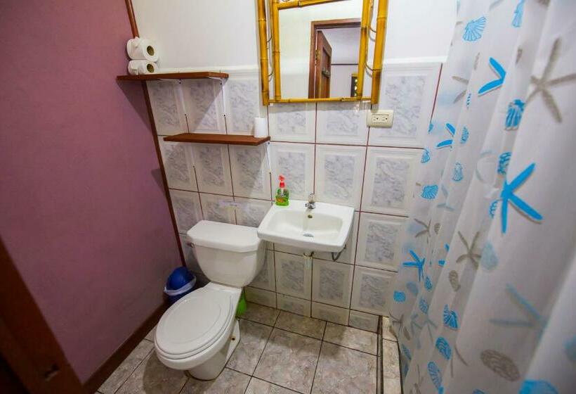 اتاق عادی, Aracari Garden Hostel