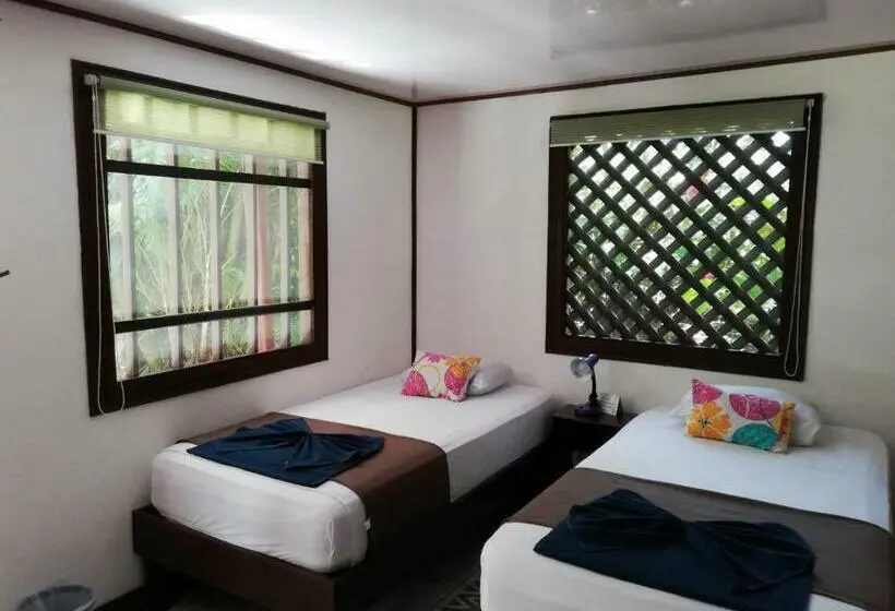 ベーシックルーム, Aracari Garden Hostel