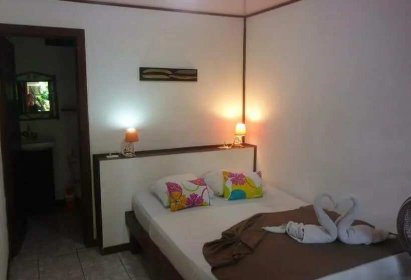 シングルベーシックルーム, Aracari Garden Hostel