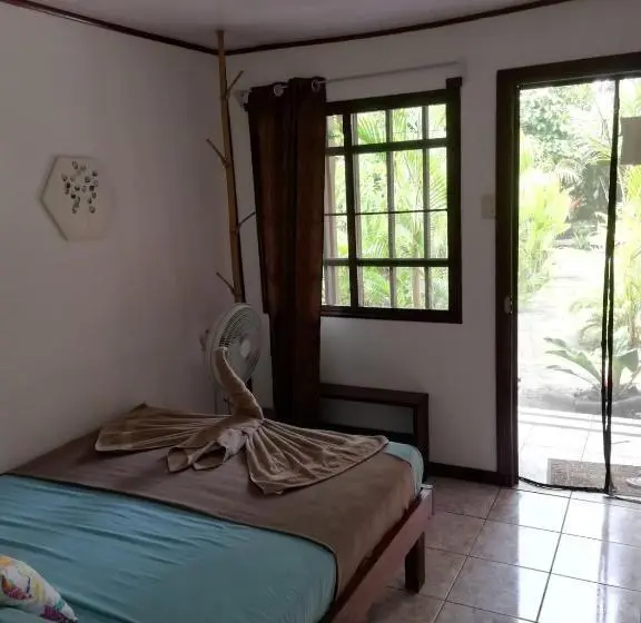シングルベーシックルーム, Aracari Garden Hostel