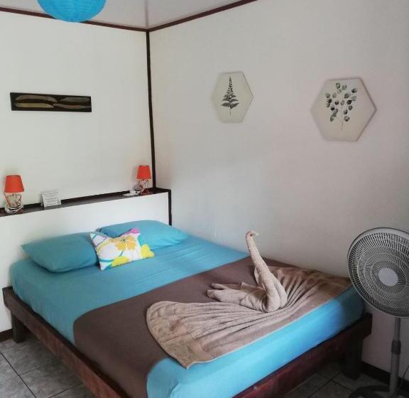 اتاق عادی یک تخته, Aracari Garden Hostel
