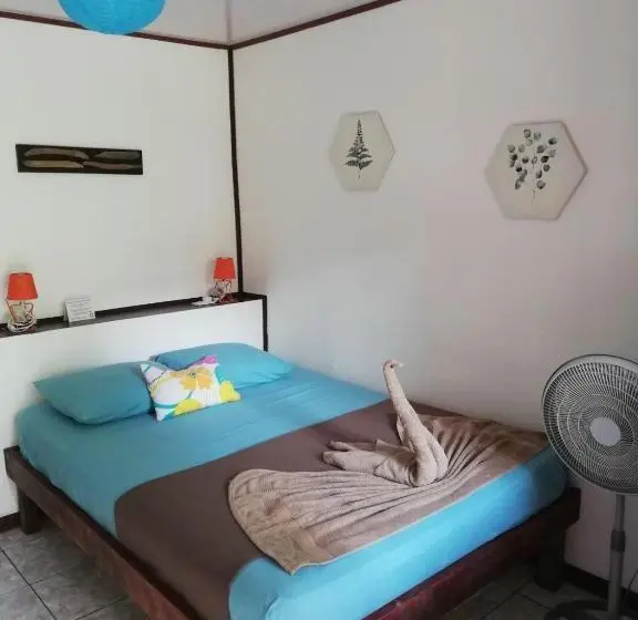 シングルベーシックルーム, Aracari Garden Hostel