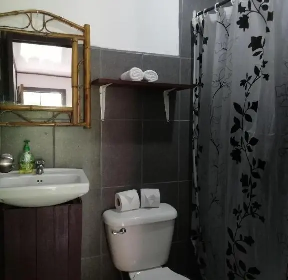 シングルベーシックルーム, Aracari Garden Hostel