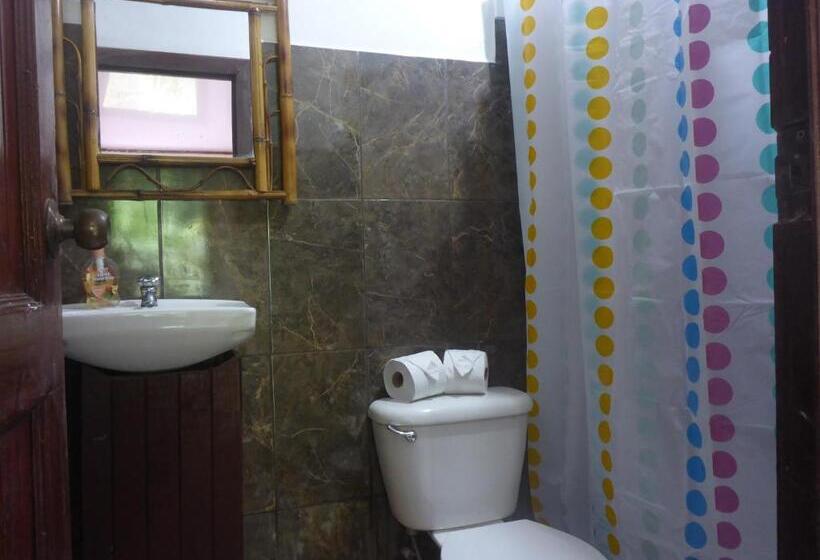اتاق اکونومی, Aracari Garden Hostel