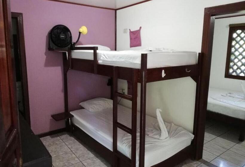 تختخواب در اتاق مشترک, Aracari Garden Hostel