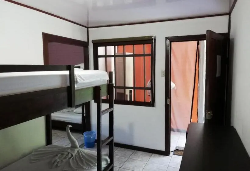 ルームシェアのワンベッド, Aracari Garden Hostel