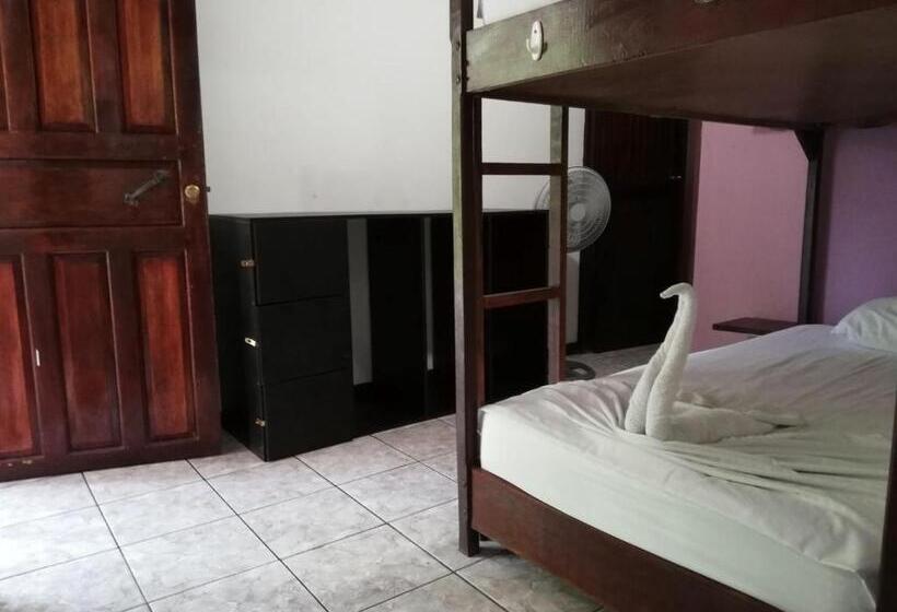 تختخواب در اتاق مشترک, Aracari Garden Hostel