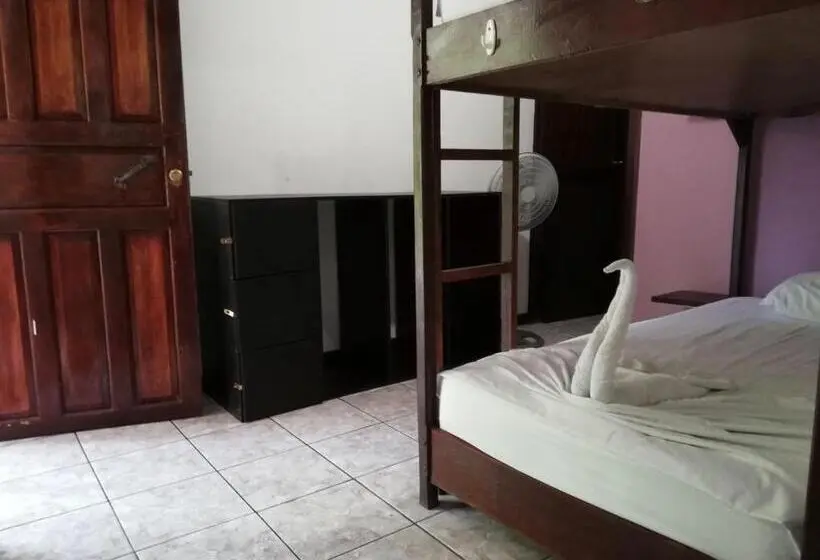 ルームシェアのワンベッド, Aracari Garden Hostel