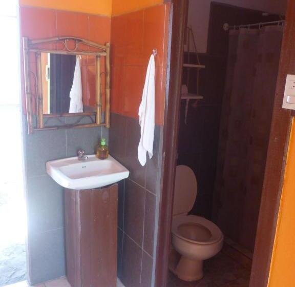 تختخواب در اتاق مشترک, Aracari Garden Hostel