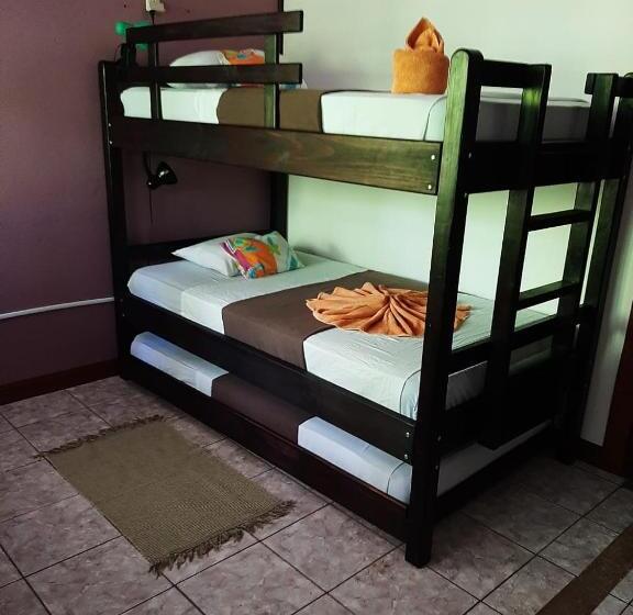 اتاق خانوادگی پایه, Aracari Garden Hostel