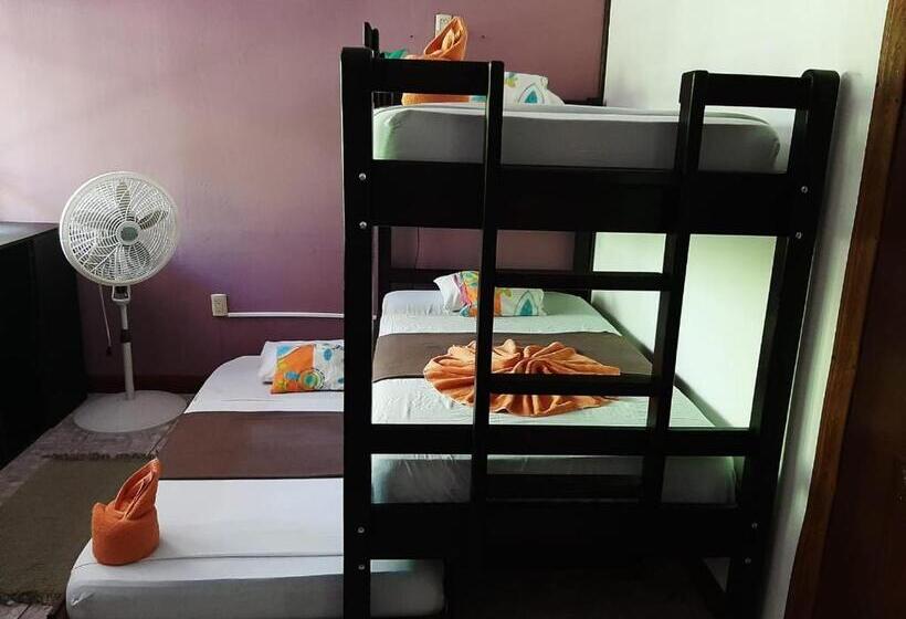 اتاق خانوادگی پایه, Aracari Garden Hostel