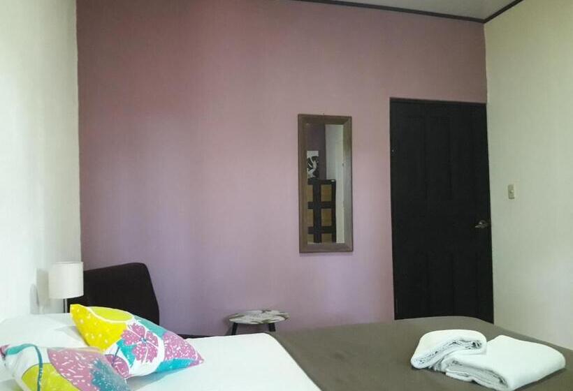 اتاق استاندارد, Aracari Garden Hostel