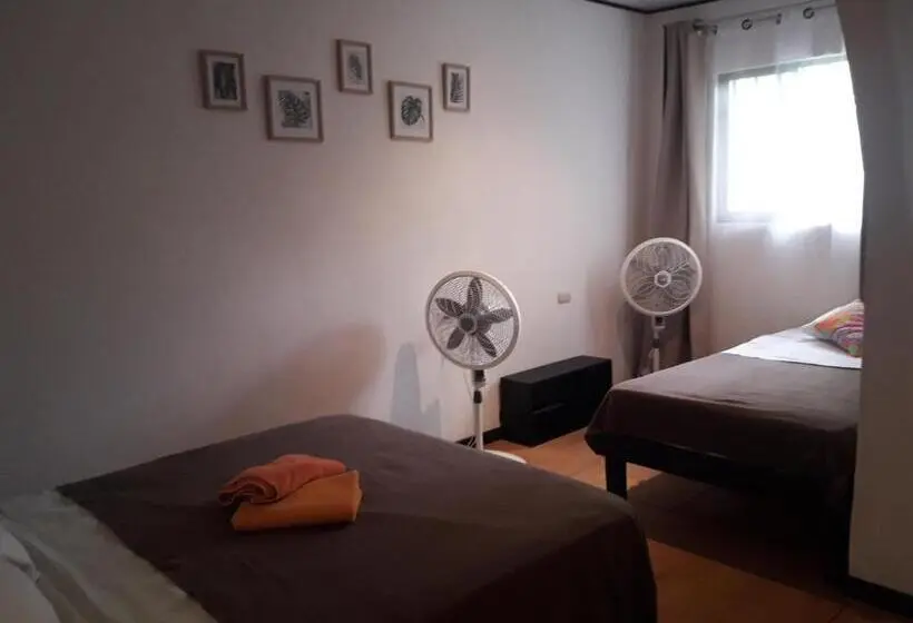 スタンダードトリプルルーム, Aracari Garden Hostel