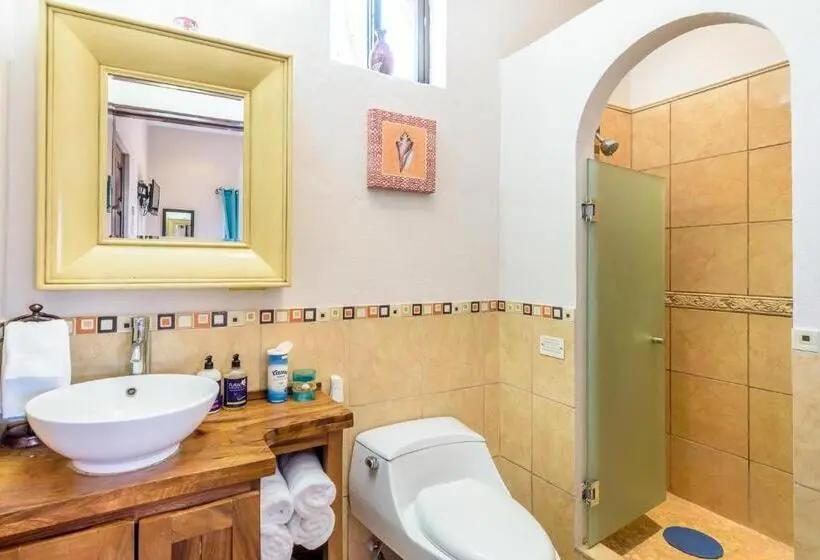 Basic-huone, Casa Leona