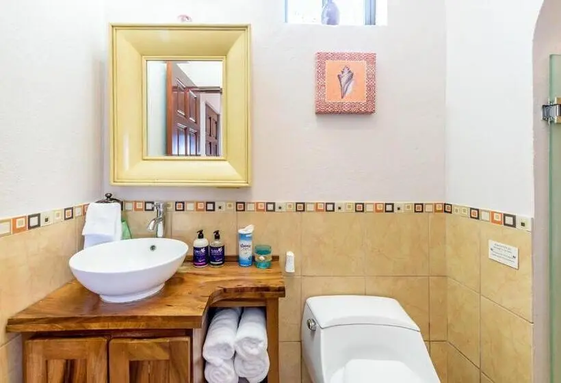 Basic-huone, Casa Leona