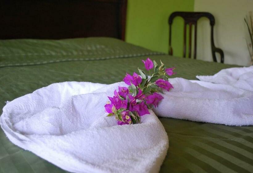اتاق لوکس, Dos Palmas Studio Apartments