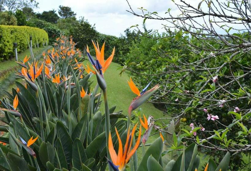 بنجلو ديلوكس, Finca Paraiso Mountain Retreat Near San Jose Airport