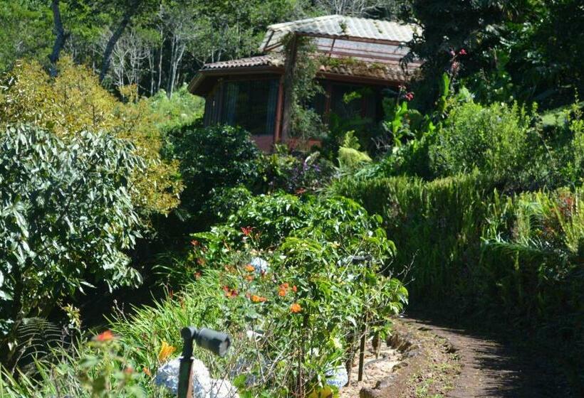 Бунгало Deluxe, Finca Paraiso Mountain Retreat Near San Jose Airport