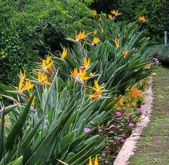 בקתה דלוקס, Finca Paraiso Mountain Retreat Near San Jose Airport