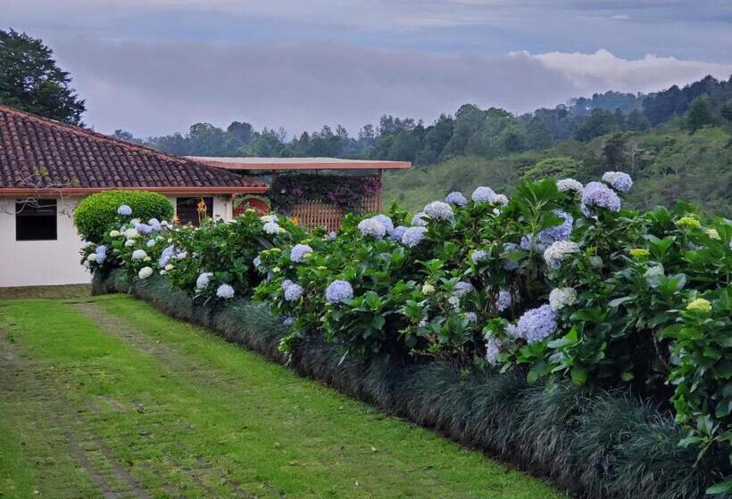 غرفة ديلوكس رباعية, Finca Paraiso Mountain Retreat Near San Jose Airport