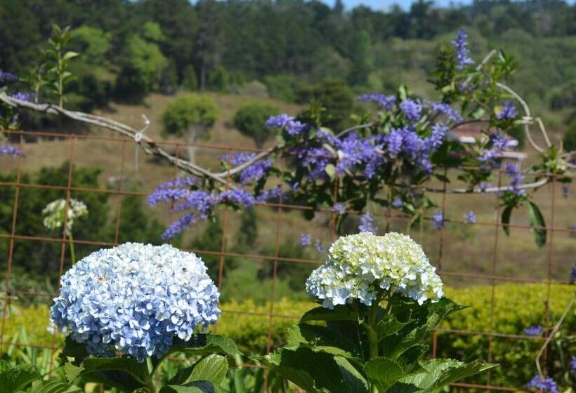 غرفة ديلوكس رباعية, Finca Paraiso Mountain Retreat Near San Jose Airport