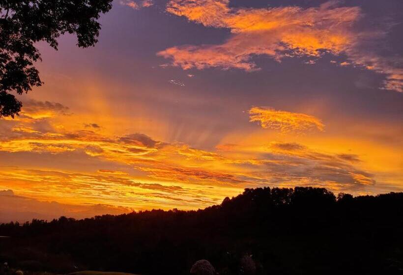 חדר דלוקס לארבעה, Finca Paraiso Mountain Retreat Near San Jose Airport