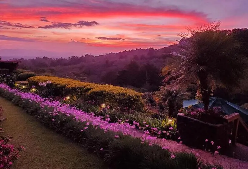Deluxe-bungalow, Finca Paraiso Mountain Retreat Near San Jose Airport
