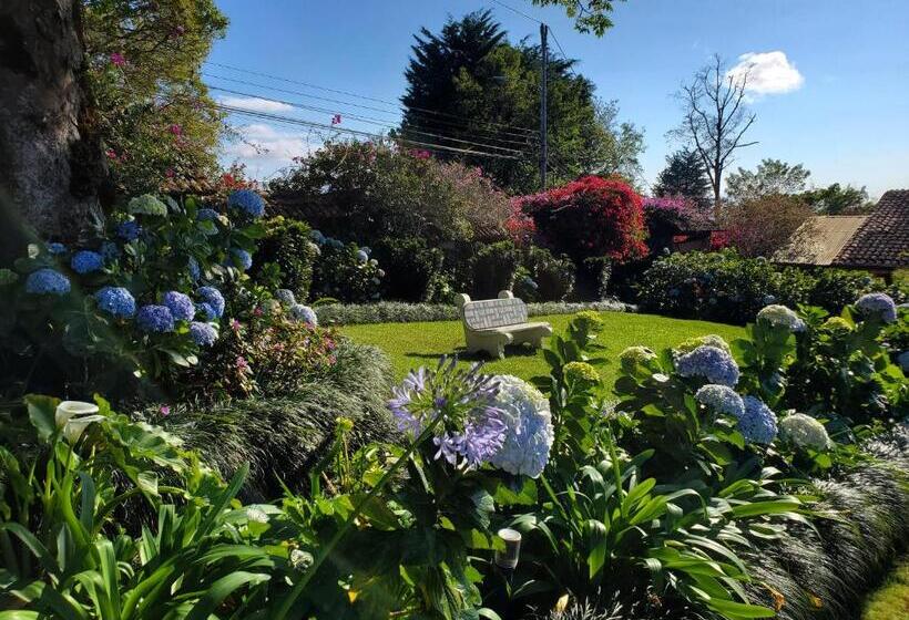 Люкс Повышенной Комфортности, Finca Paraiso Mountain Retreat Near San Jose Airport