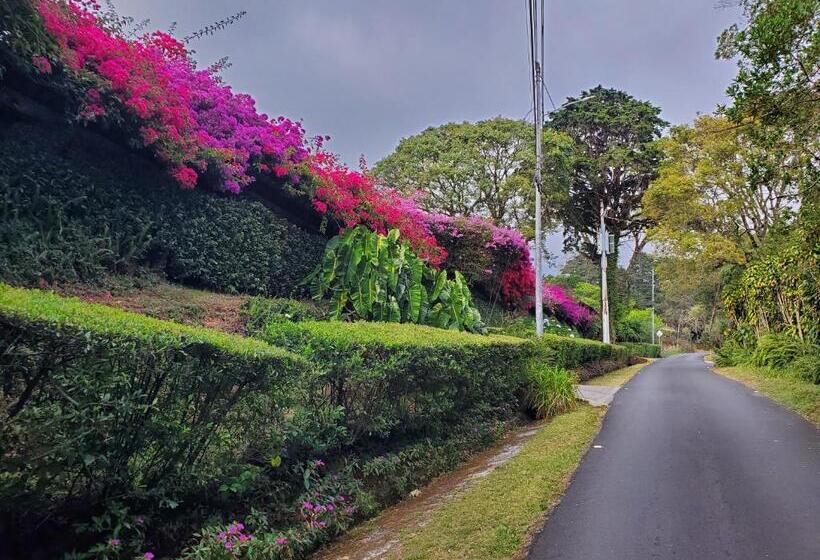 סוויטה דלוקס, Finca Paraiso Mountain Retreat Near San Jose Airport