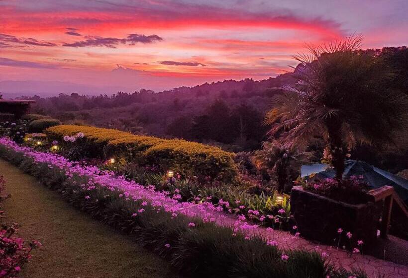 جناح ديلوكس, Finca Paraiso Mountain Retreat Near San Jose Airport