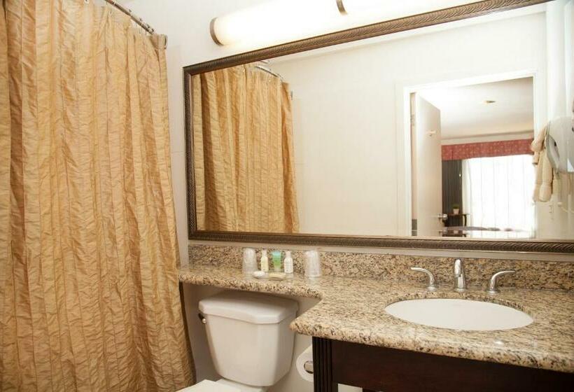 스탠다드 룸 킹사이즈 침대, Bodega Coast Inn And Suites