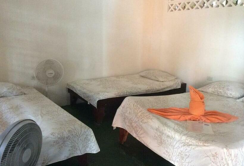 חדר סטנדרט לשלושה, Cabinas Balcon Del Mar Tortuguero