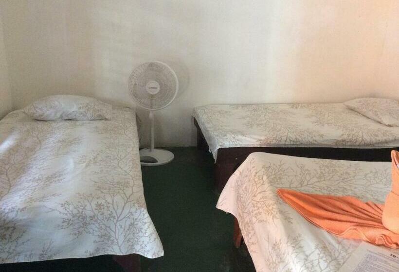 标准三人间, Cabinas Balcon Del Mar Tortuguero