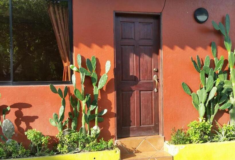 آپارتمان 1 خوابه با چشمانداز دریا, Cabinas Mar Y Cielo