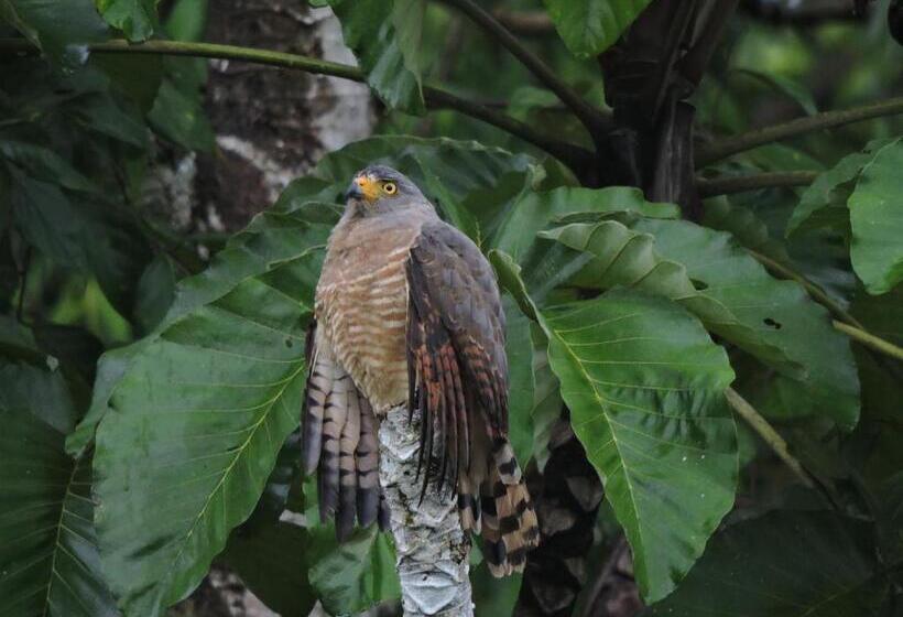 デラックスルーム, Casa Drake Lodge