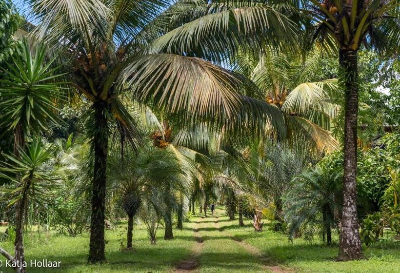 デラックスルーム, Casa Drake Lodge