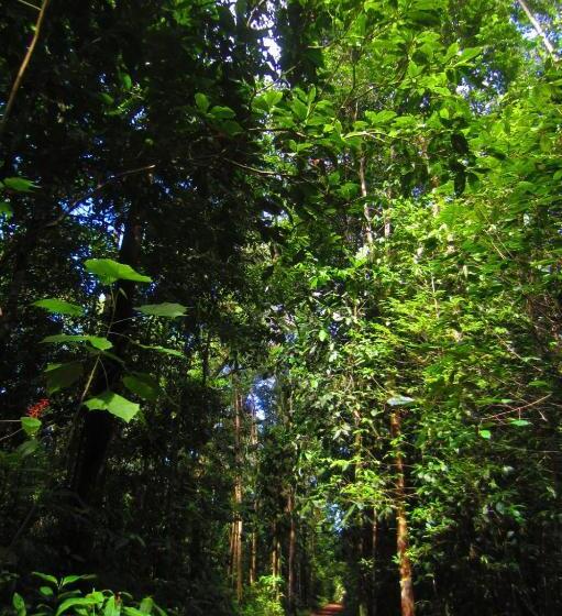 デラックスルーム, Casa Drake Lodge