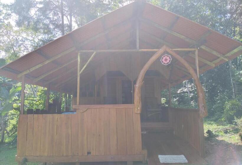 デラックスルーム, Casa Drake Lodge