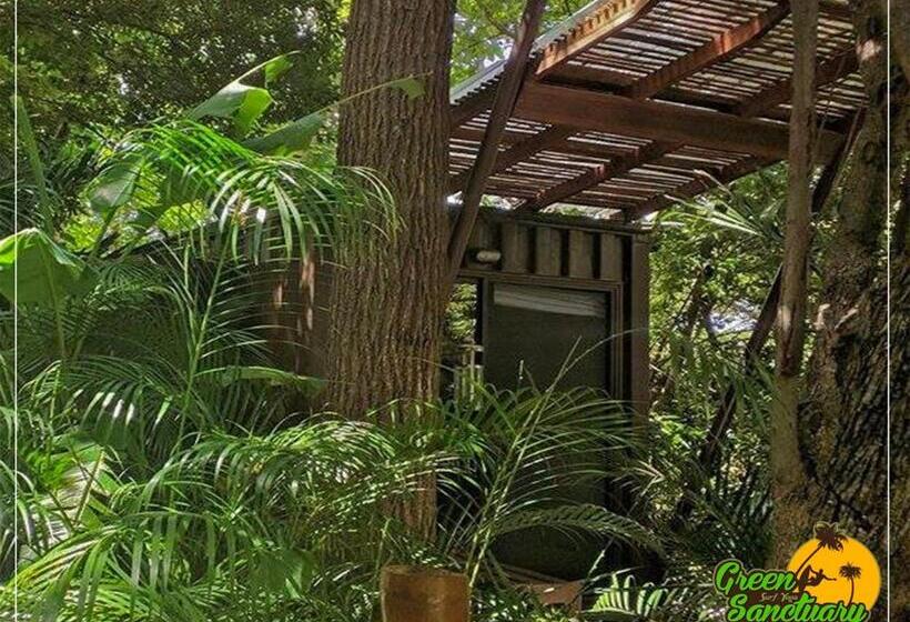 חדר סטנדרט עם טרסה, Green Sanctuary