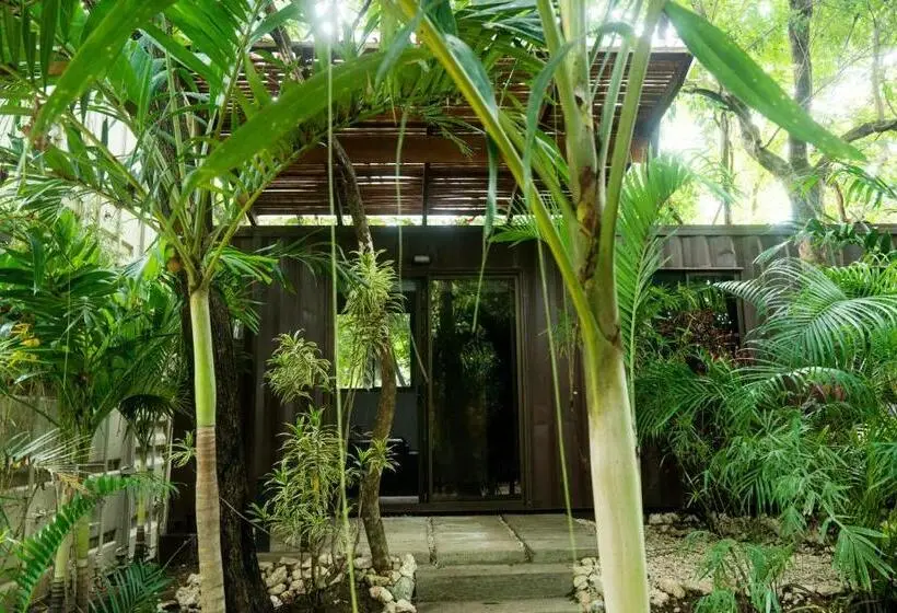 庭の見えるスタンダードトリプルルーム, Green Sanctuary