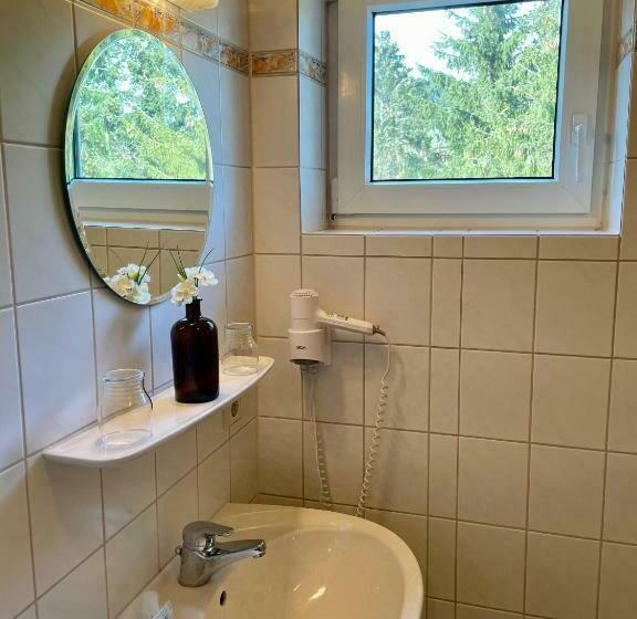 غرفة قياسية, Landhotel Zur Linde