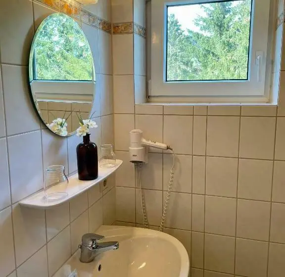 Standard-huone, Landhotel Zur Linde