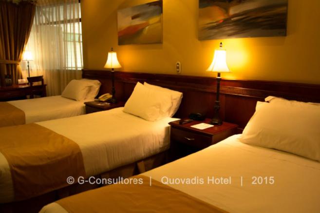 标准三人间, Quo Vadis