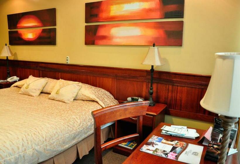 标准间, Quo Vadis