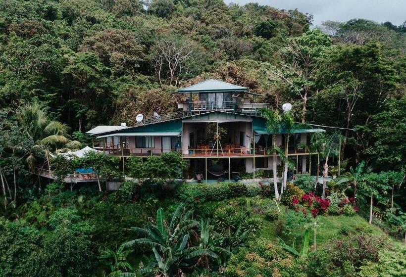 سوییت سوپریور با چشمانداز دریا, Santa Teresa Surf Vista Villas