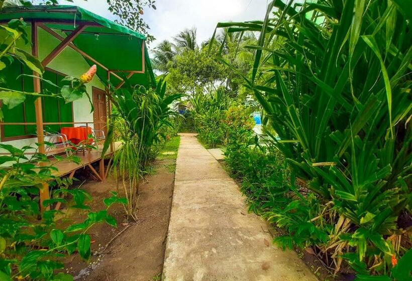 بنجلو قياسى مطلّ علي الحديقة, Tortuguero Beachfront
