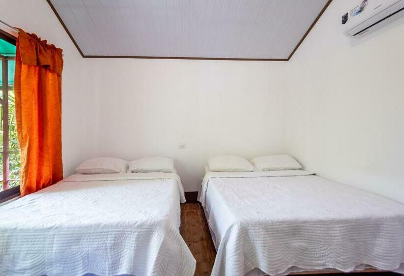 بنجلو قياسى مطلّ علي الحديقة, Tortuguero Beachfront