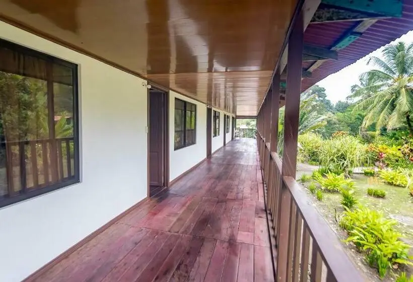 庭の見えるシングルルーム, Tortuguero Beachfront